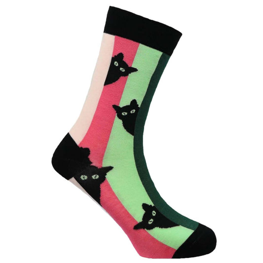 Curious Cat Natural Bamboo Knit Socks