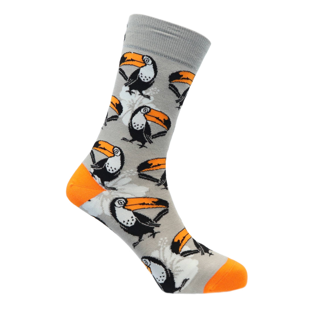 Tropical Toucan